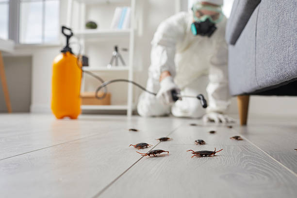 Commercial Kitchen Cockroach Control in Bayou Blue